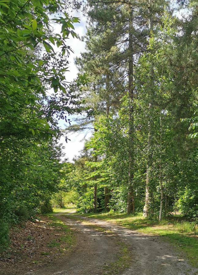 Camping De La Chagnee Saint-Aubin-le-Cloud Экстерьер фото