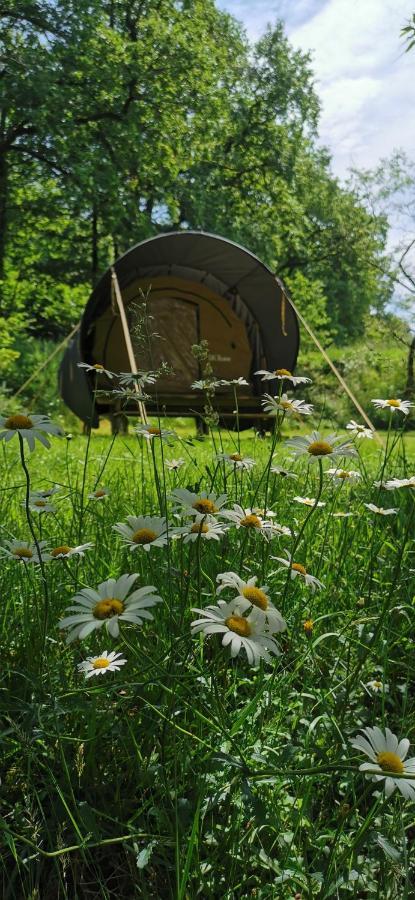 Camping De La Chagnee Saint-Aubin-le-Cloud Экстерьер фото
